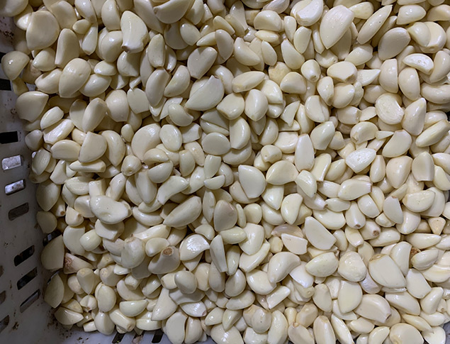 好料