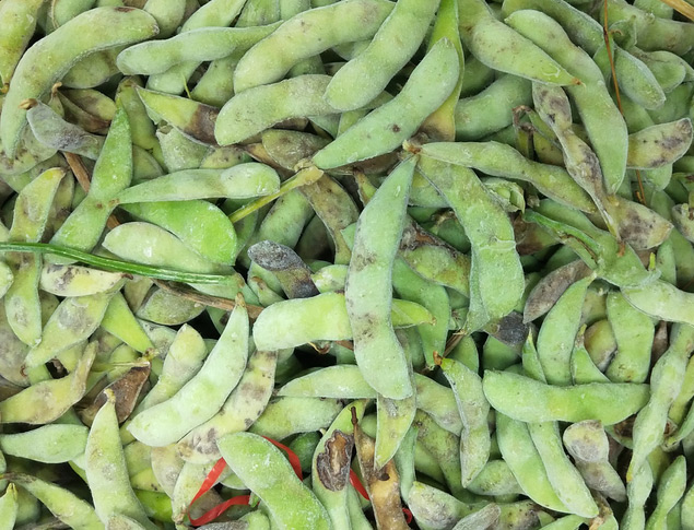 下料