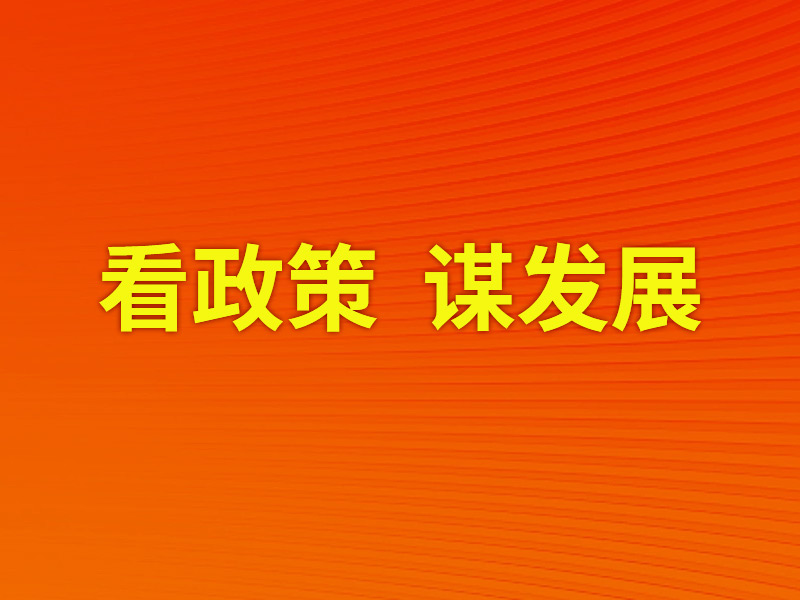 看政策，谋发展