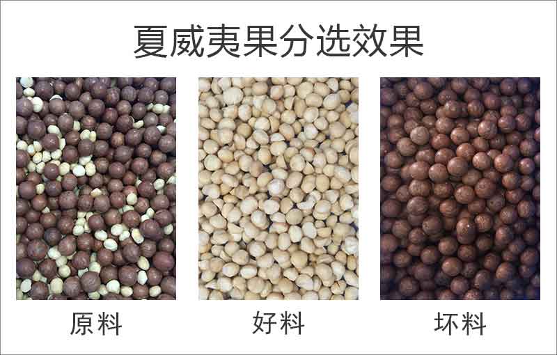 首页-BB贝博艾弗森公司官网
