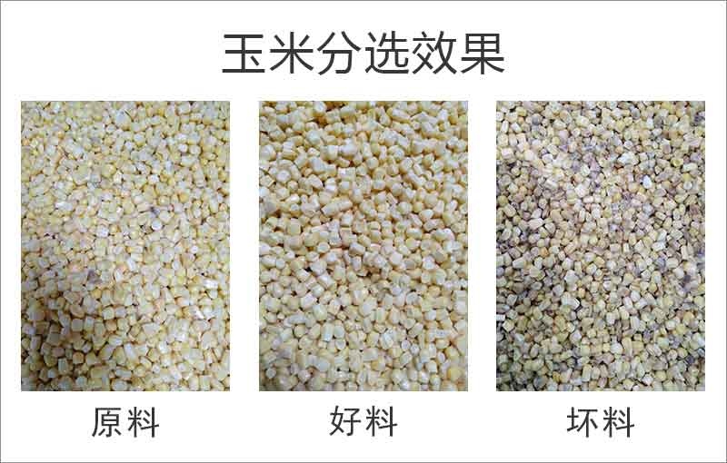 首页-BB贝博艾弗森公司官网