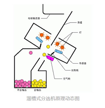 首页-BB贝博艾弗森公司官网