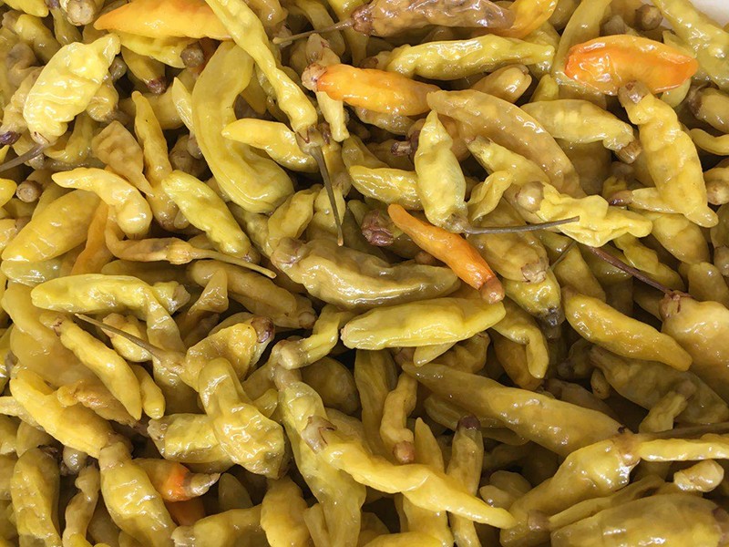 泡椒坏料改.jpg